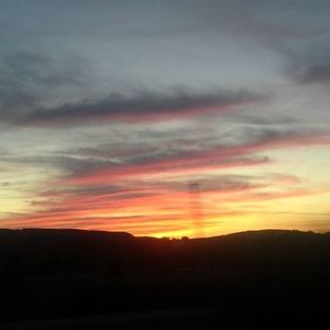 Meet your Posher, Sheila